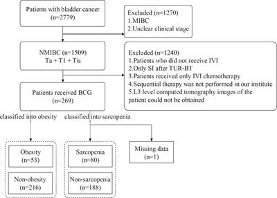 Body composition as a predictor of oncological outcome in patients with non-muscle-invasive bladder cancer receiving intravesical instillation after transurethral resection of bladder tumor